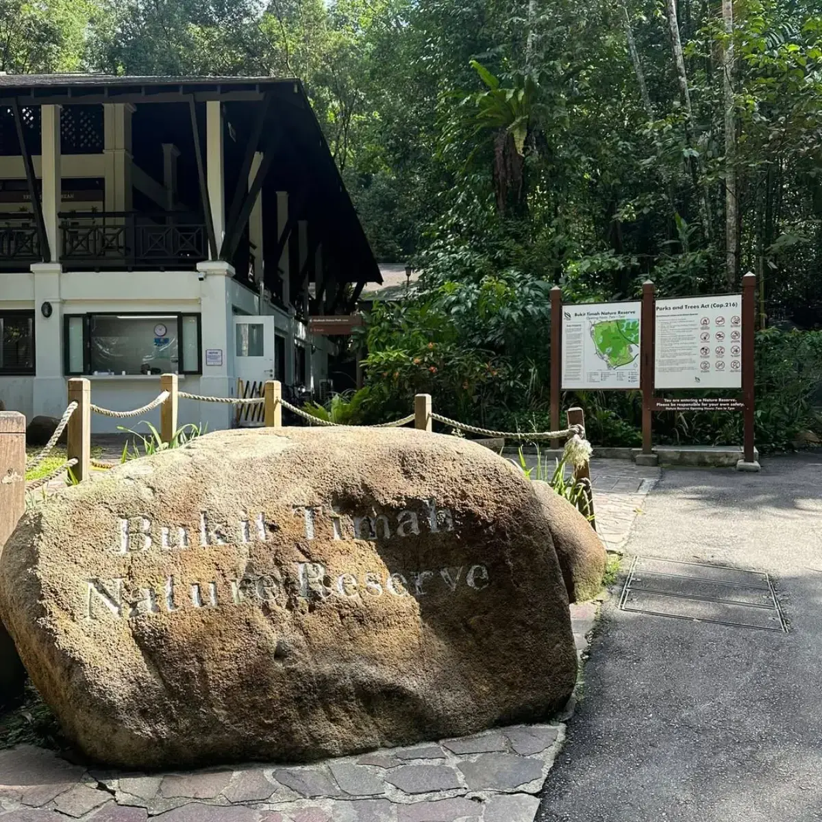 Bukit Timah Nature Reserve