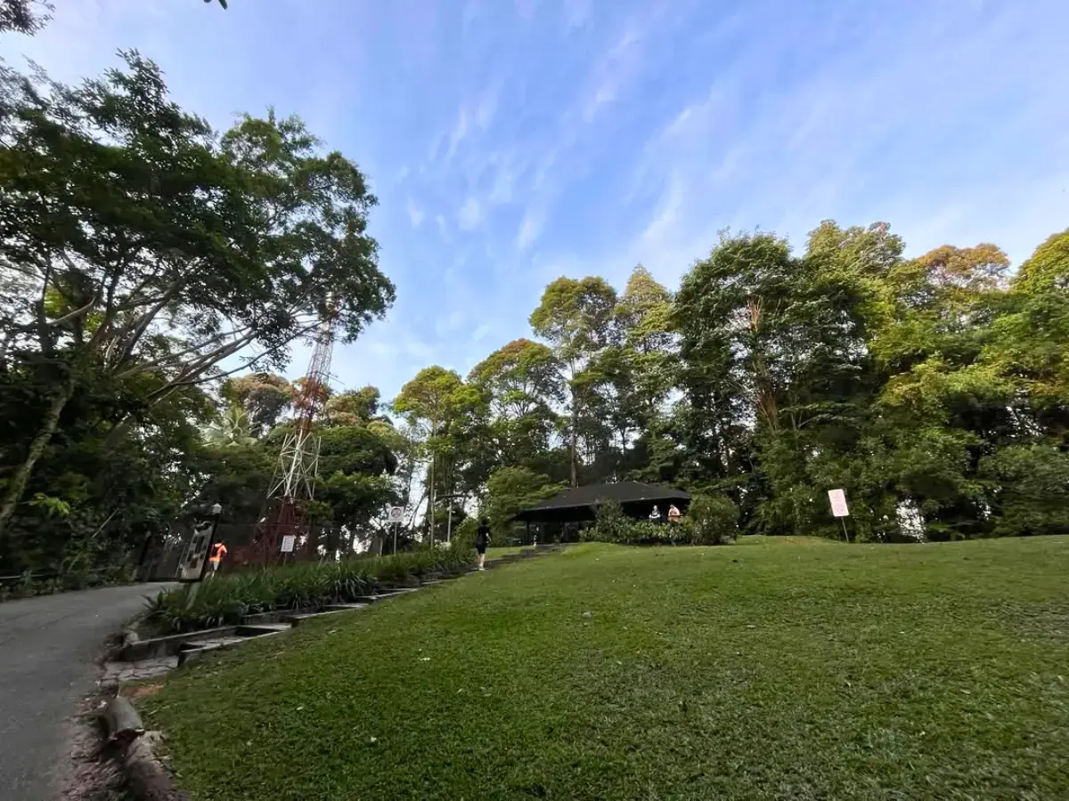Bukit Timah Nature Reserve