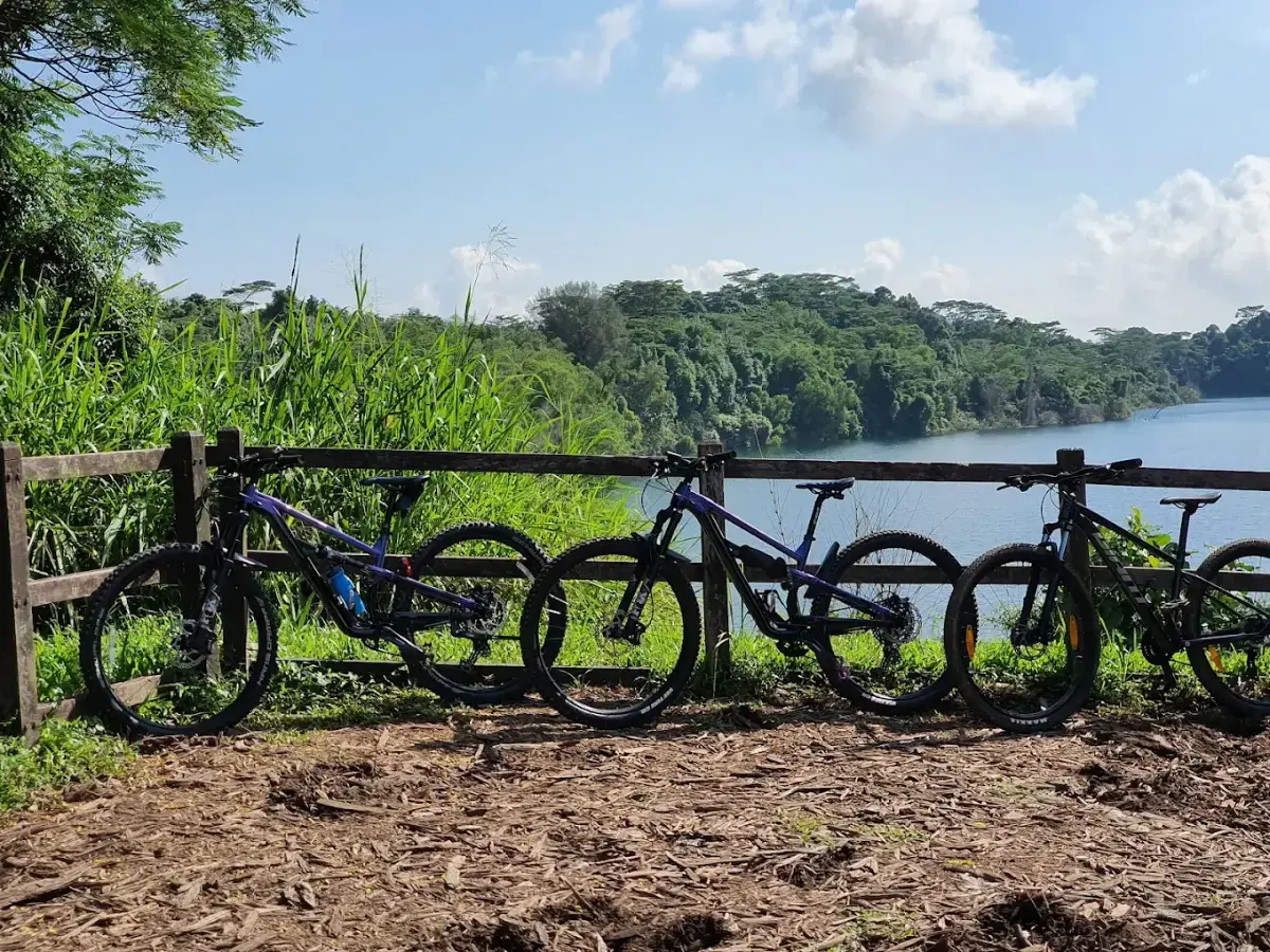 Rent a Bike and Ride Around the Island