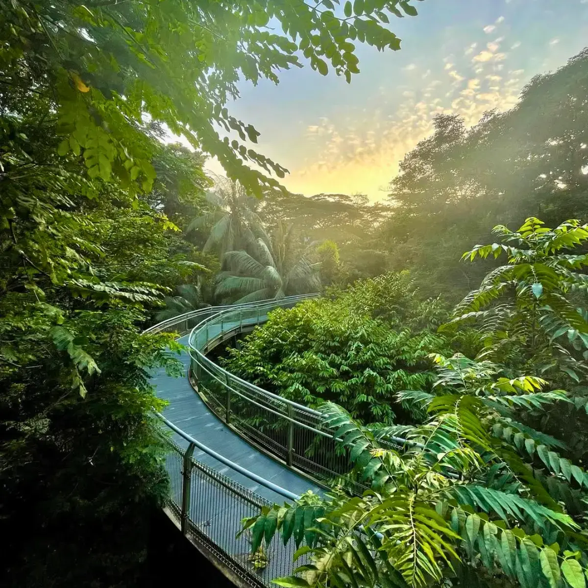 Southern Ridges Trail