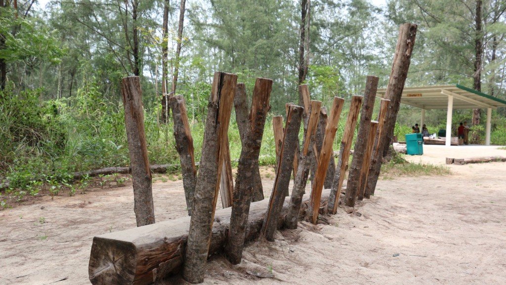 Coney Island's Casuarina Exploratory Nature Playground