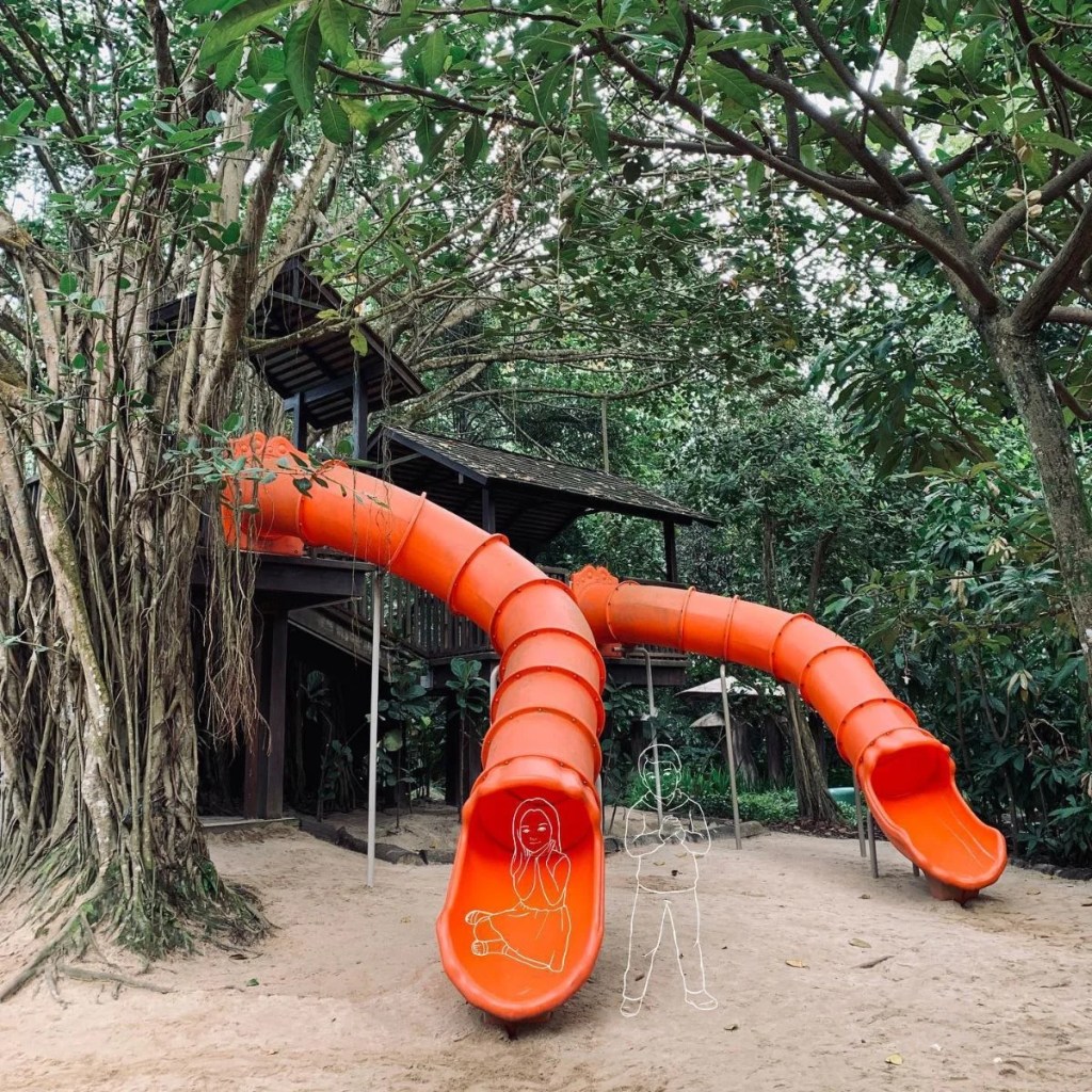 Best Things To Do In Singapore Botanic Gardens | Jacob Ballas Children’s Garden