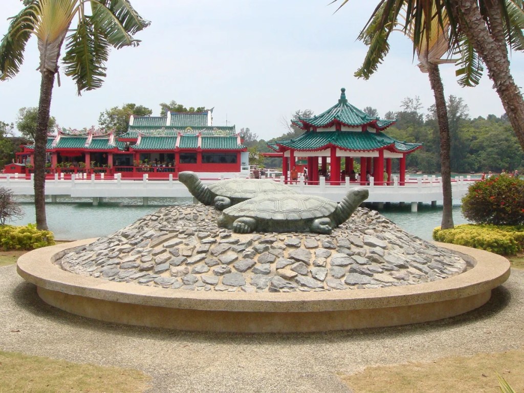 Kusu Island Marble Tortoise