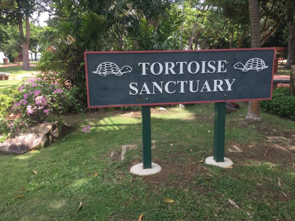 Kusu Island Tortoise Sanctuary