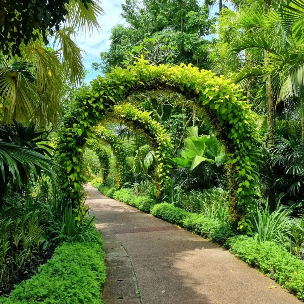 Best Things To Do In Singapore Botanic Gardens | National Orchid Garden