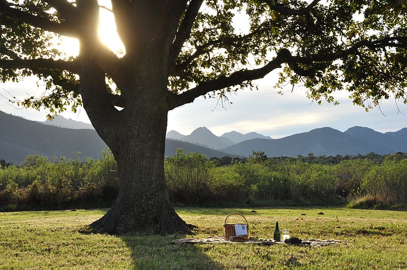 Things to do - Have a romantic picnic away from crowd