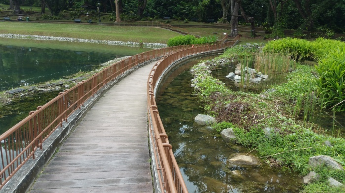 MacRitchie Submerged Boardwalk