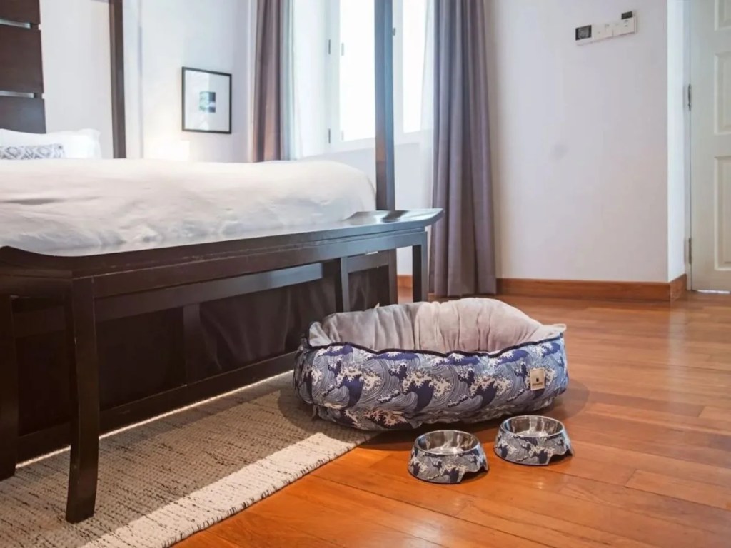 Best Pet Friendly Hotels In Singapore | Amara Sanctuary Resort