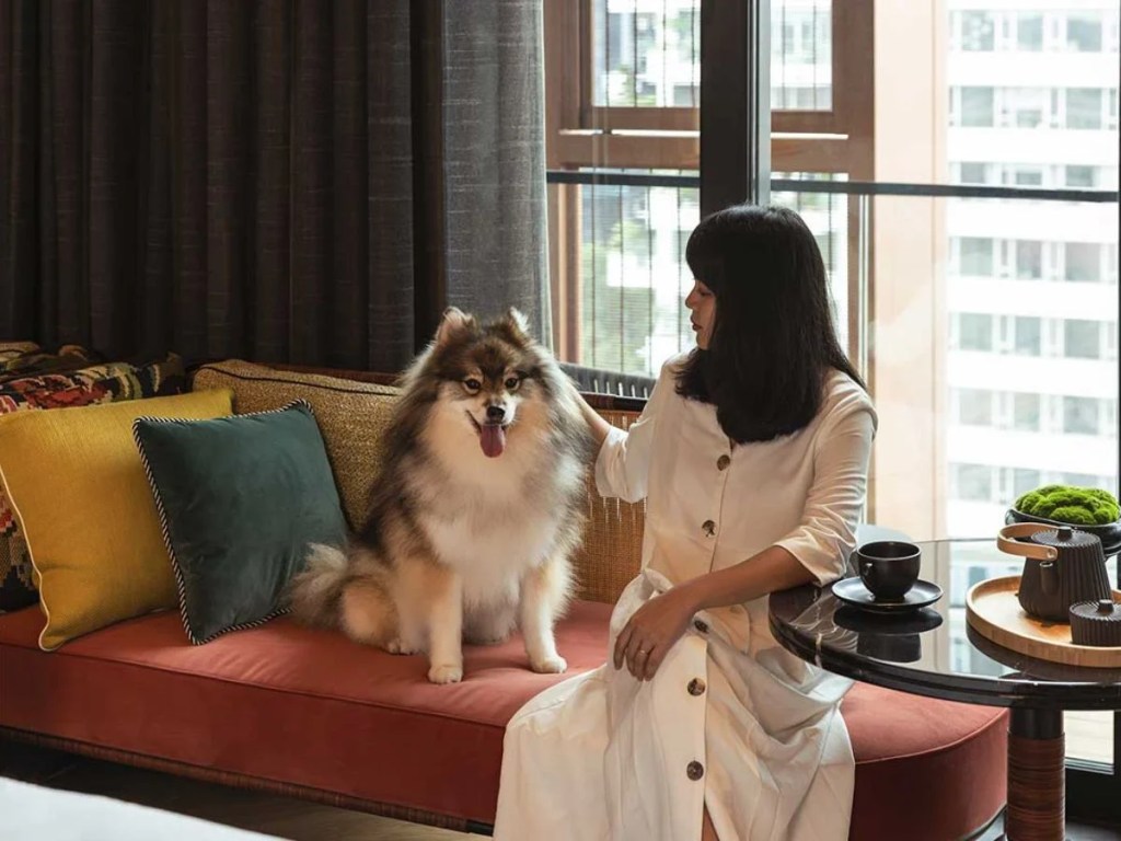 Best Pet Friendly Hotels In Singapore | Artyzen Singapore