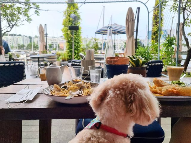 Bayswater Kitchen