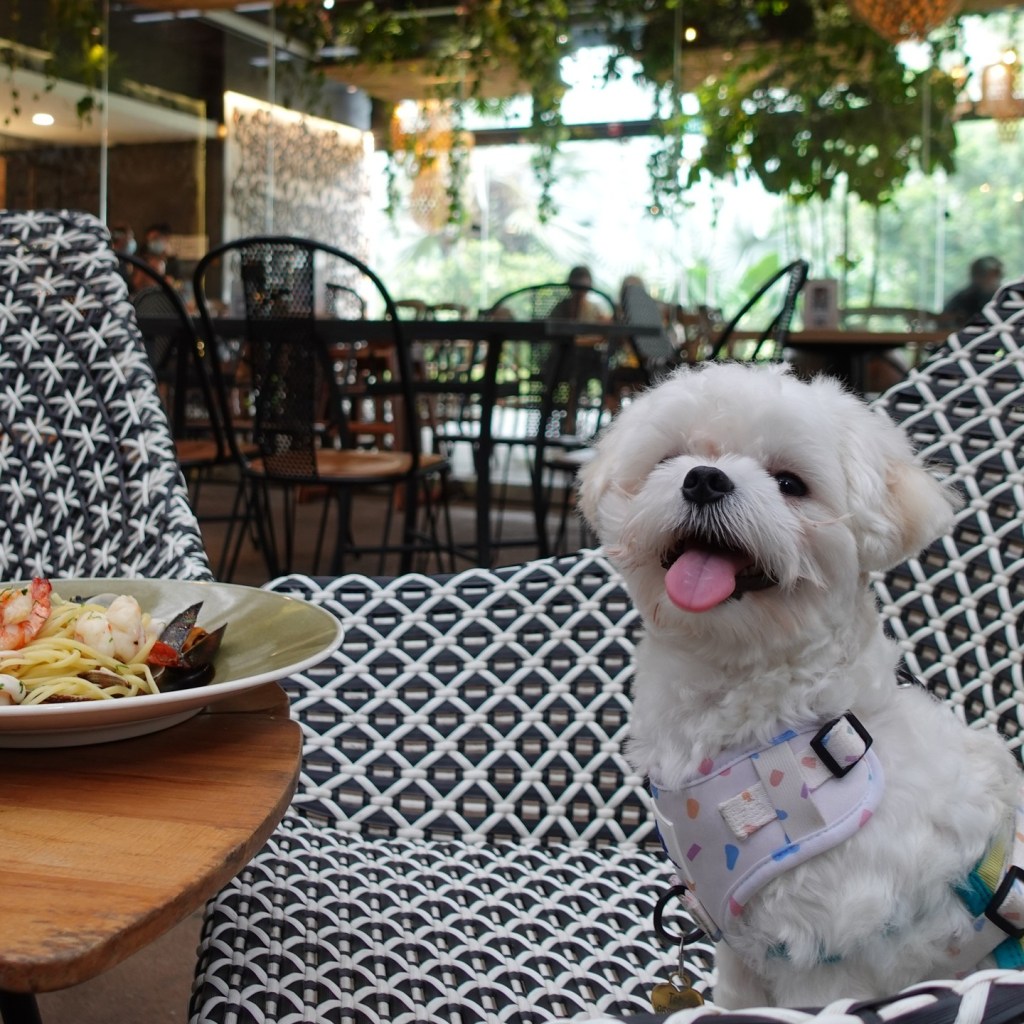 Canopy Garden Dining Bar