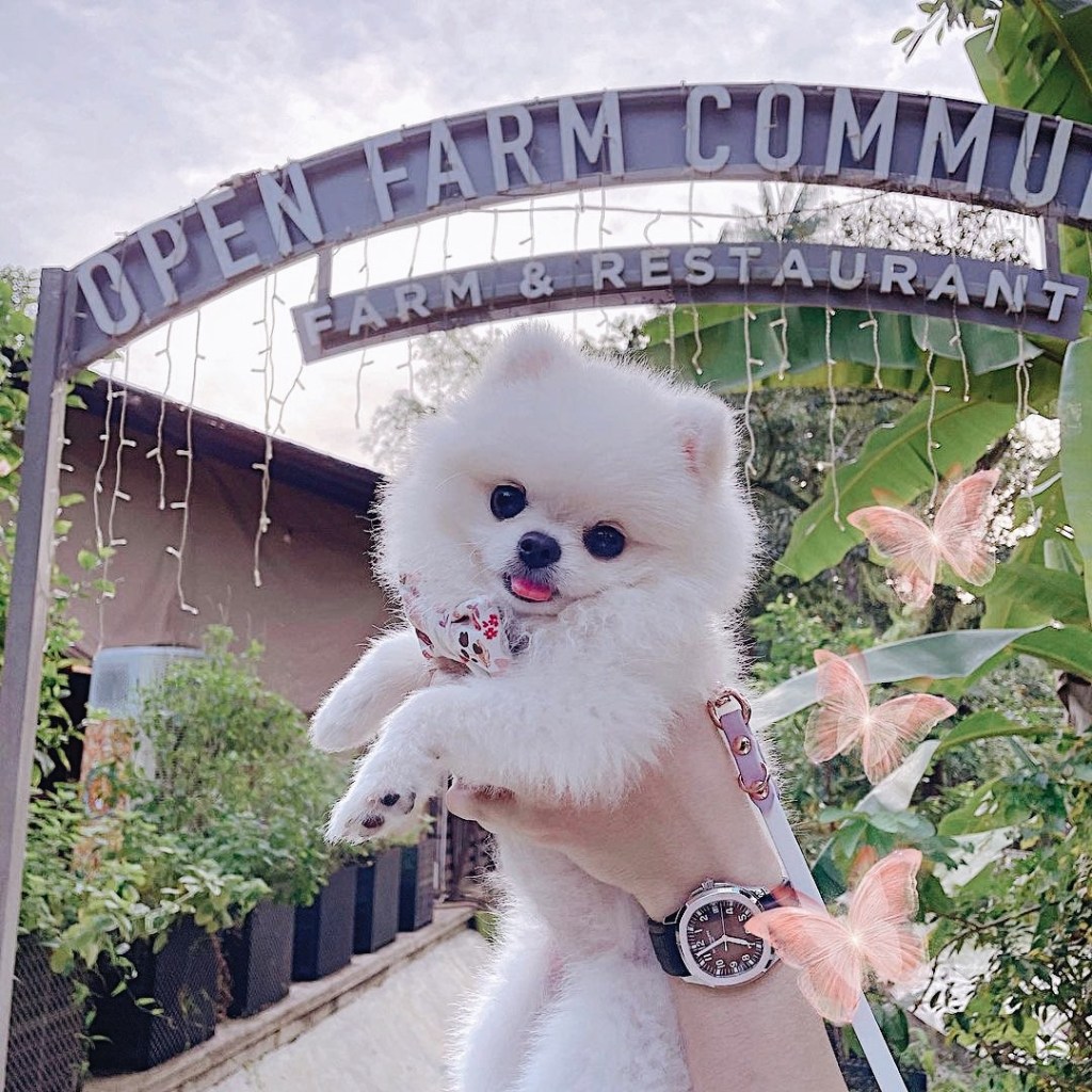 Open Farm Community