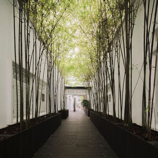 Loft-Style Hotel In Singapore | The Sultan Hotel