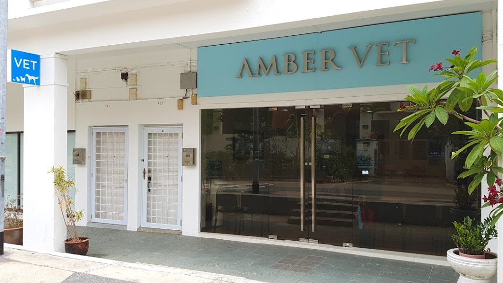 Amber Vet