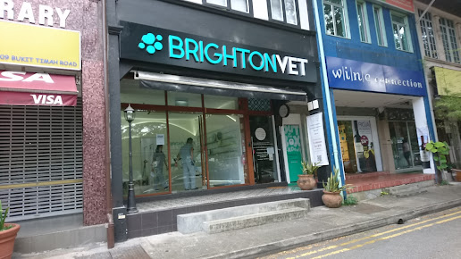 Brighton Vet Care
