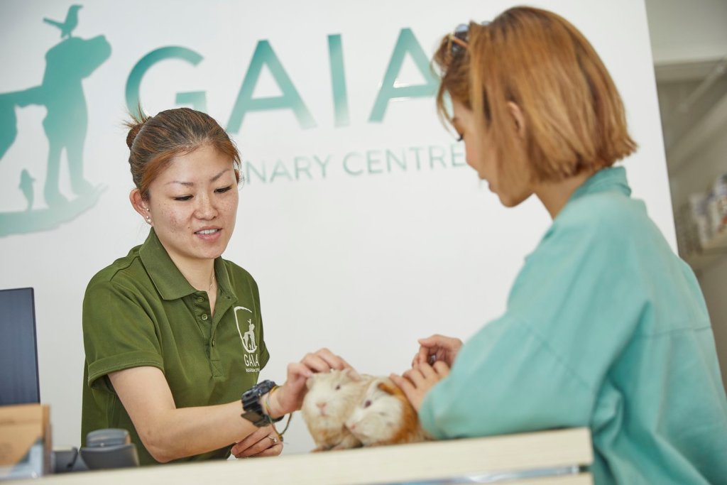Gaia Veterinary Centre