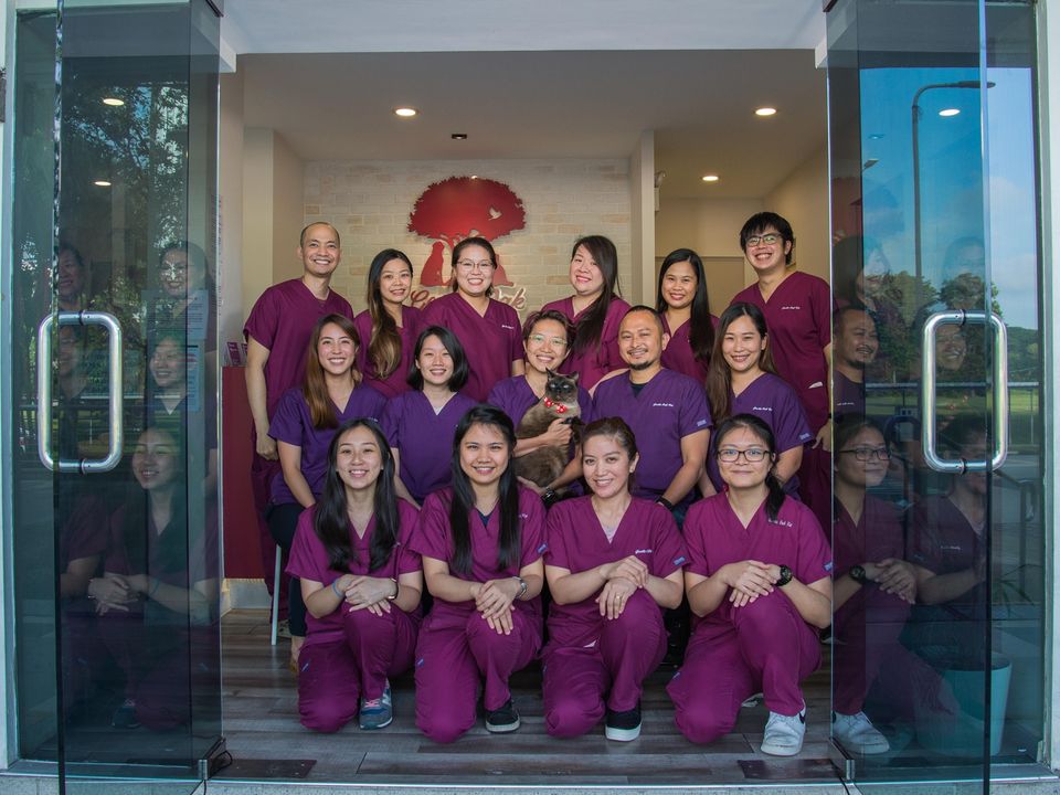 Gentle Oak Veterinary Clinic