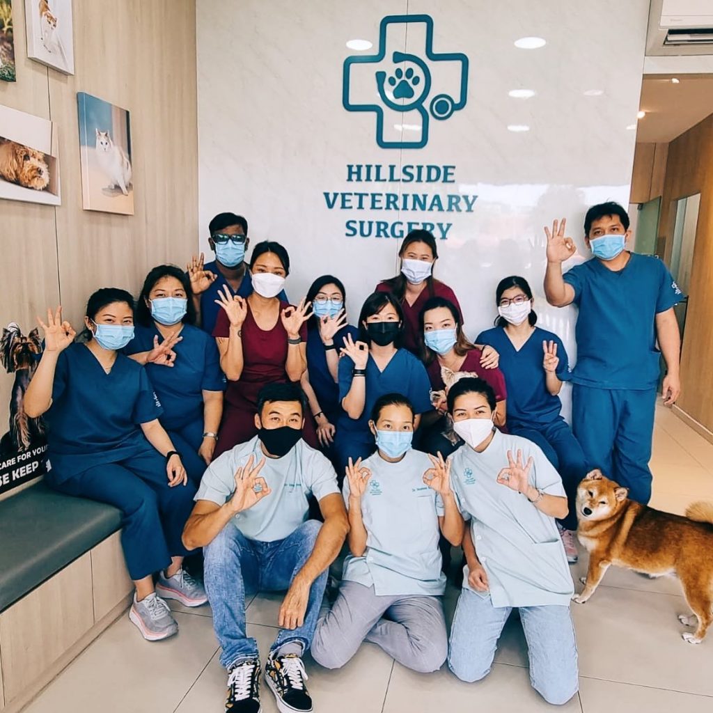 Hillside Vet