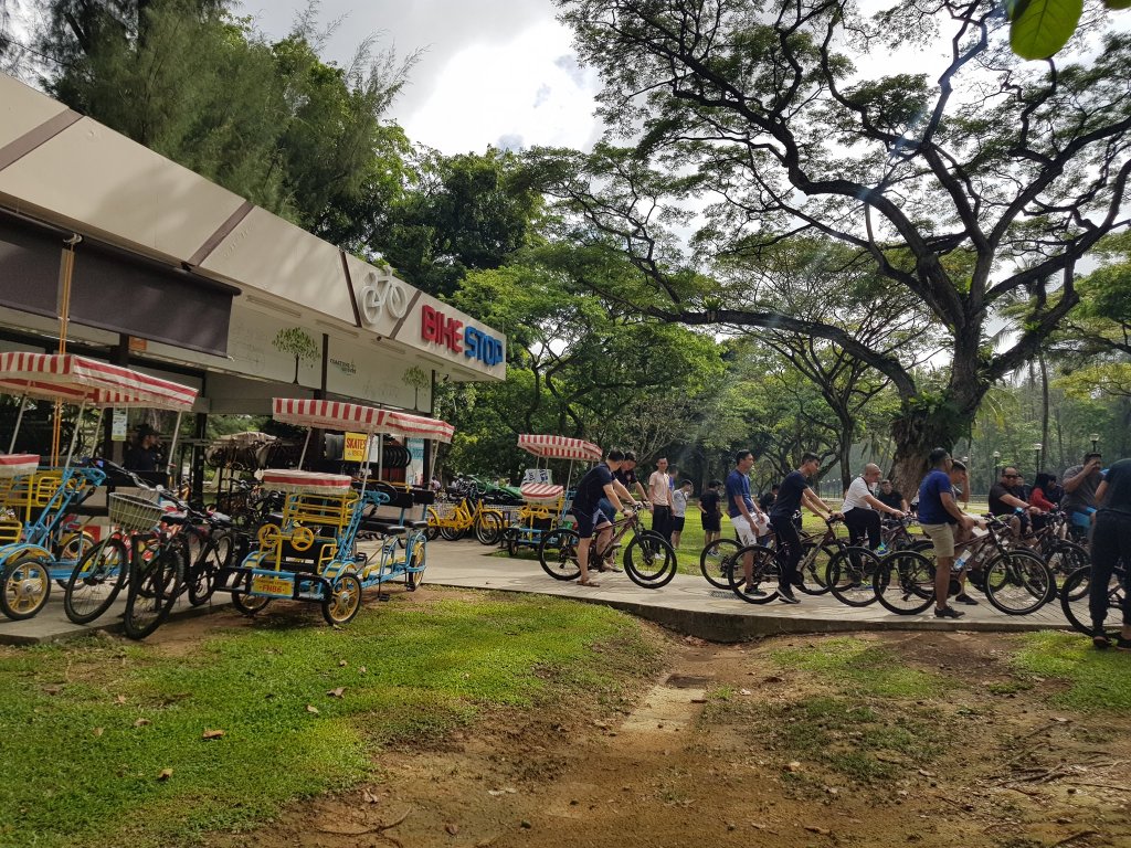 Bike Rental | Coastline Leisure