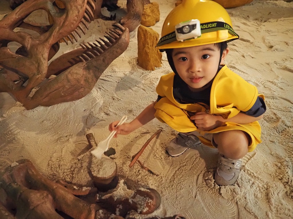 Dig for Fossils