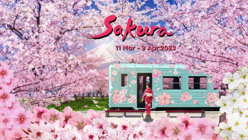 Things To Do In March 2023 | Sakura floral display