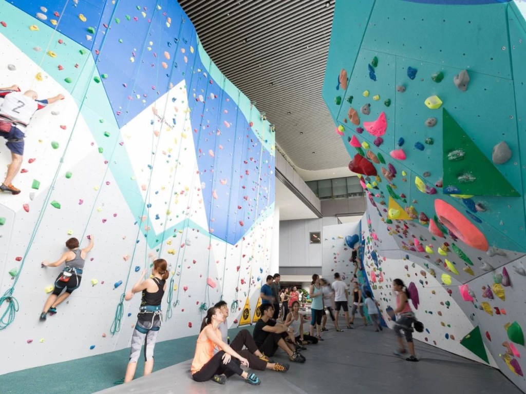 Best Rock Climbing & Bouldering Gym In Singapore | The Rock School