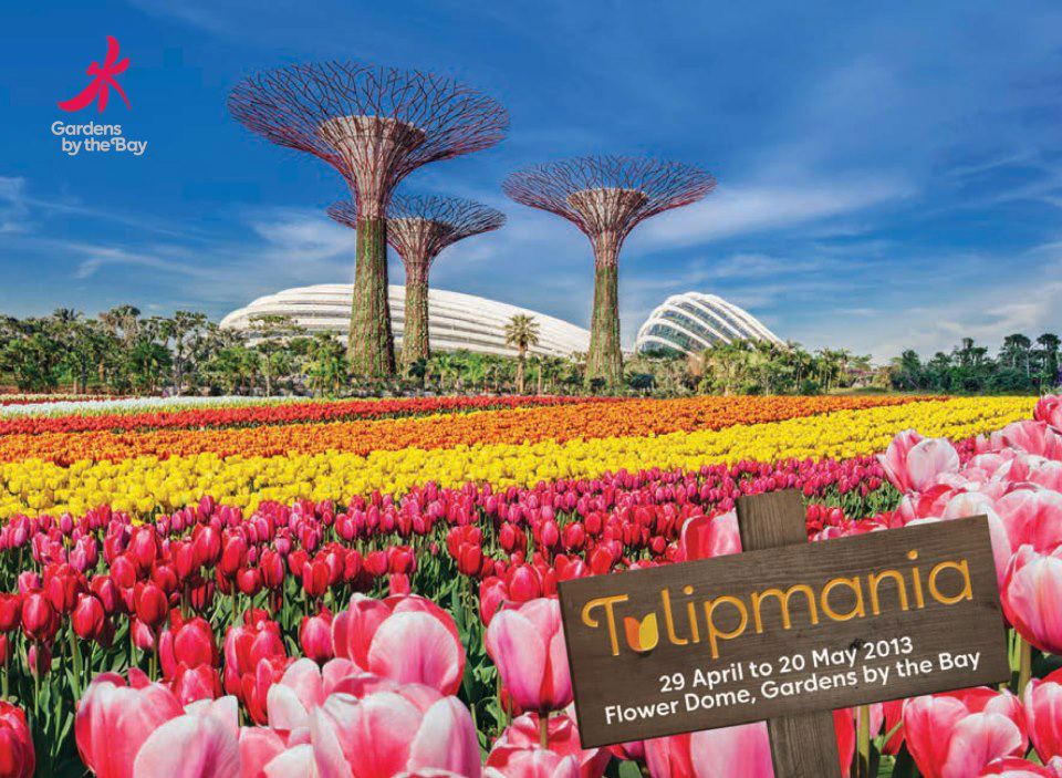 Things to do In April 2023 | Tulipmania