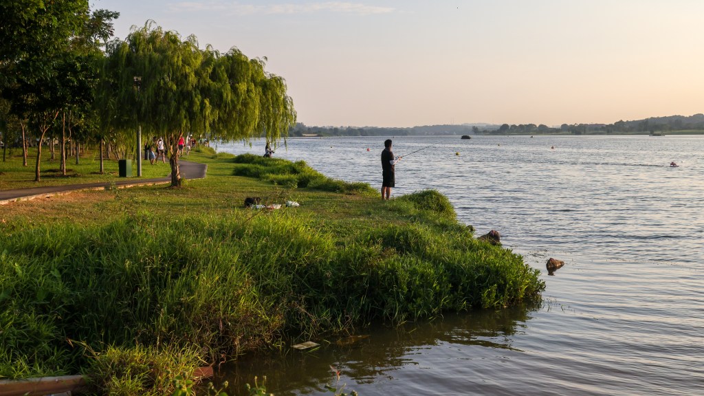 Things To Do At Seletar | Rower’s Bay Park