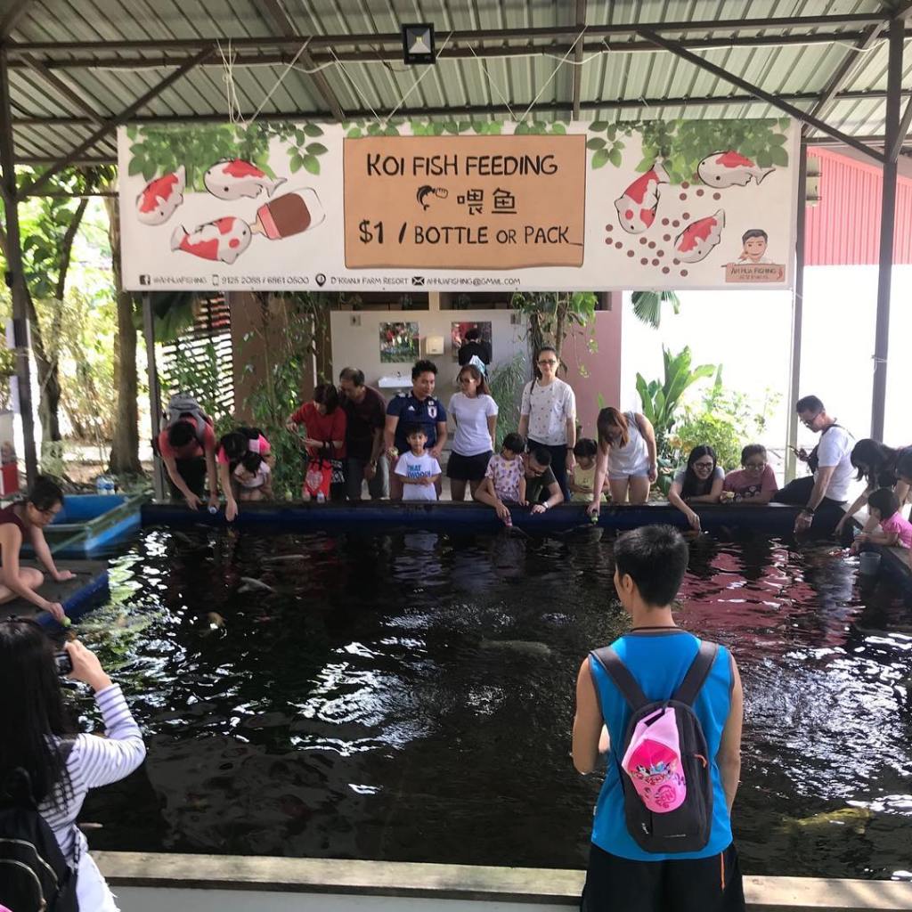 Best Nature Spots For Fishing and Prawning in Singapore | Ah Hua Fishing