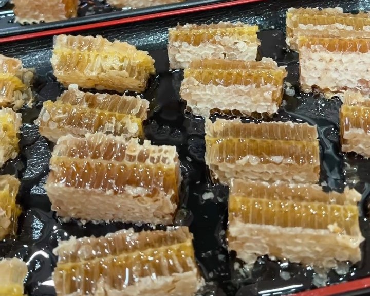 Honeybee Honeycomb