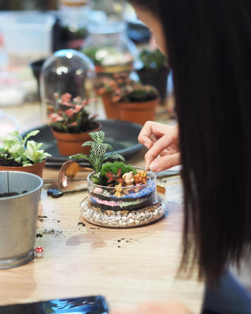 Things to do in Yishun | J2 Terrarium