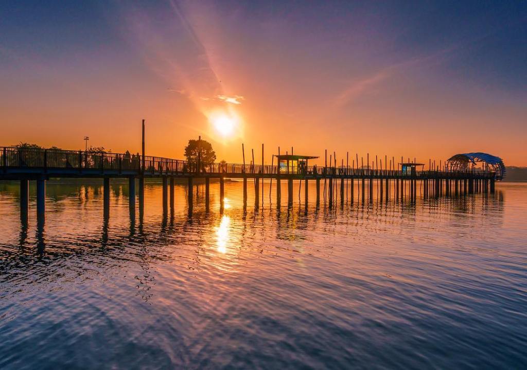 Best Nature Spots For Fishing and Prawning in Singapore | Lower Seletar Reservoir Park