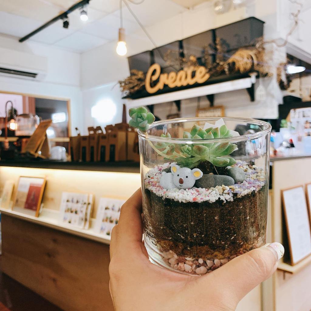 Best Terrarium Workshops in Singapore | Make Your Own