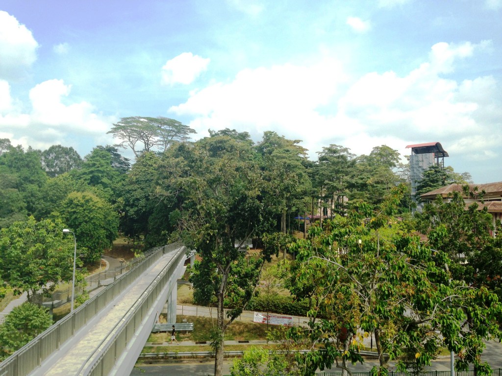 Things to do in Yishun | Yishun Park